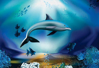 dolphin in the sea